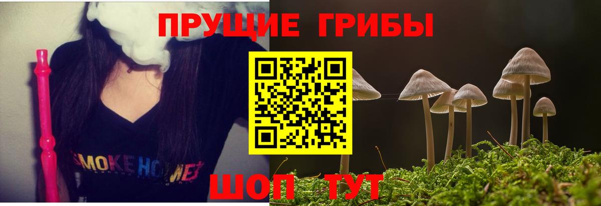 Псилоцибиновые грибы MAGIC MUSHROOMS Сертолово